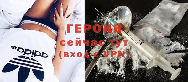 стаф Касимов