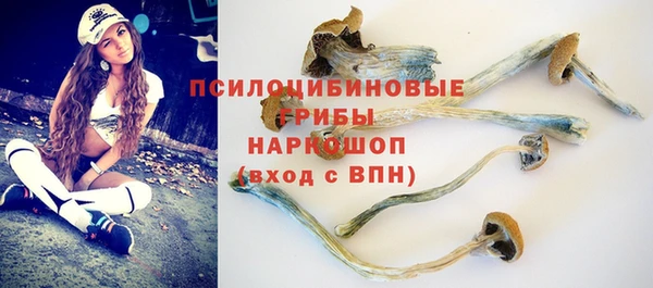 гидропоника Киреевск