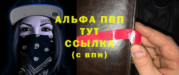 стаф Касимов