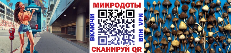 Псилоцибиновые грибы Psilocybe  Купить где  Верхний Тагил 