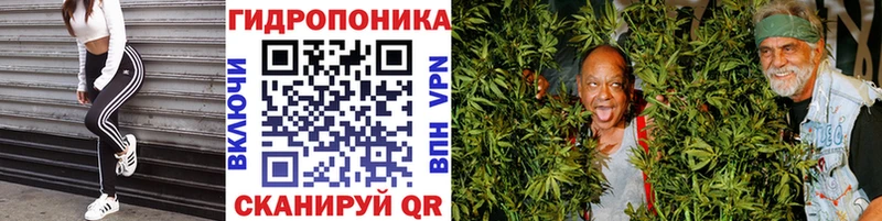 Бошки марихуана ГИДРОПОН  Купить закладки  Верхний Тагил 